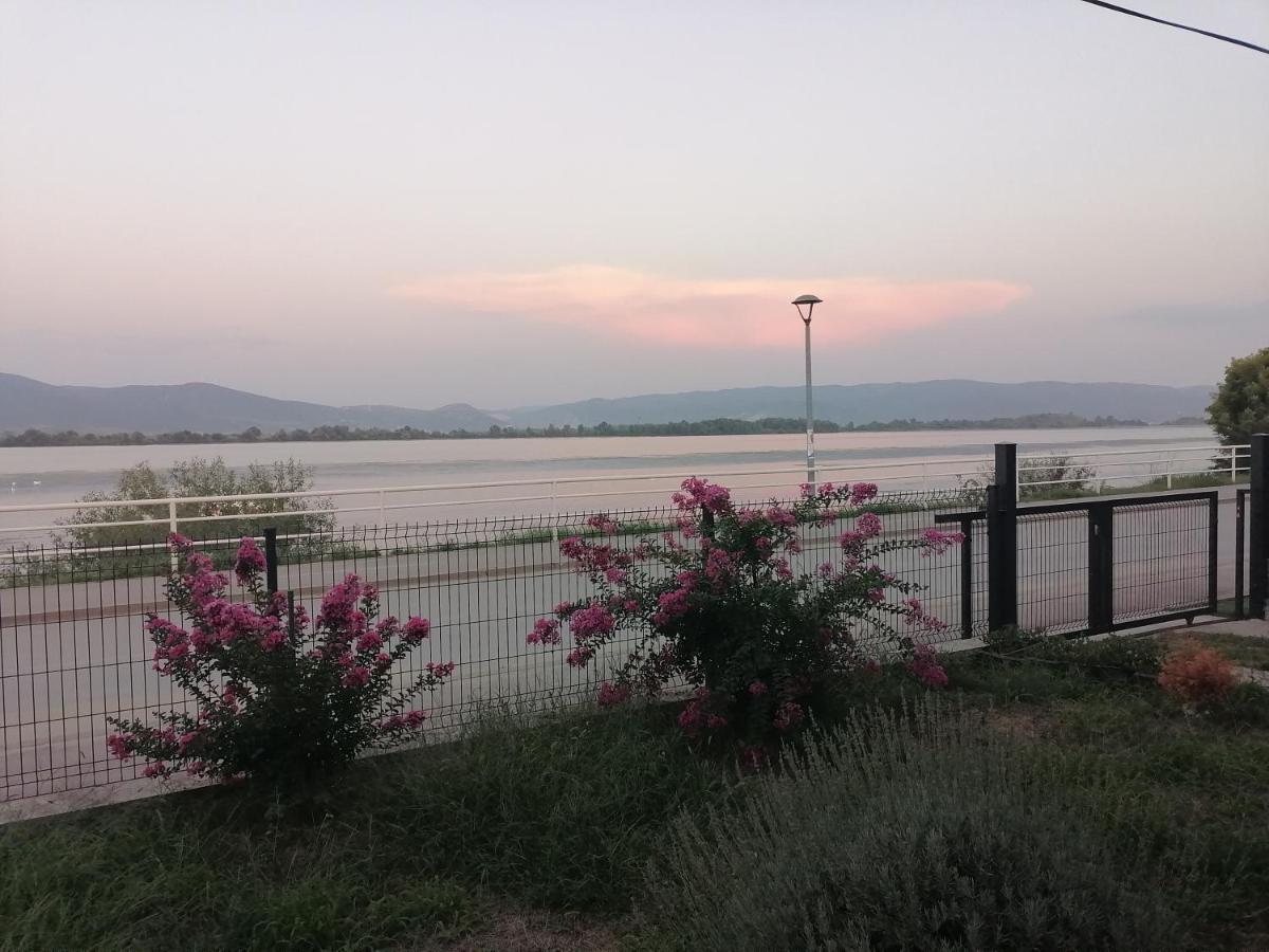 Apartman Sandrina Golubac Buitenkant foto